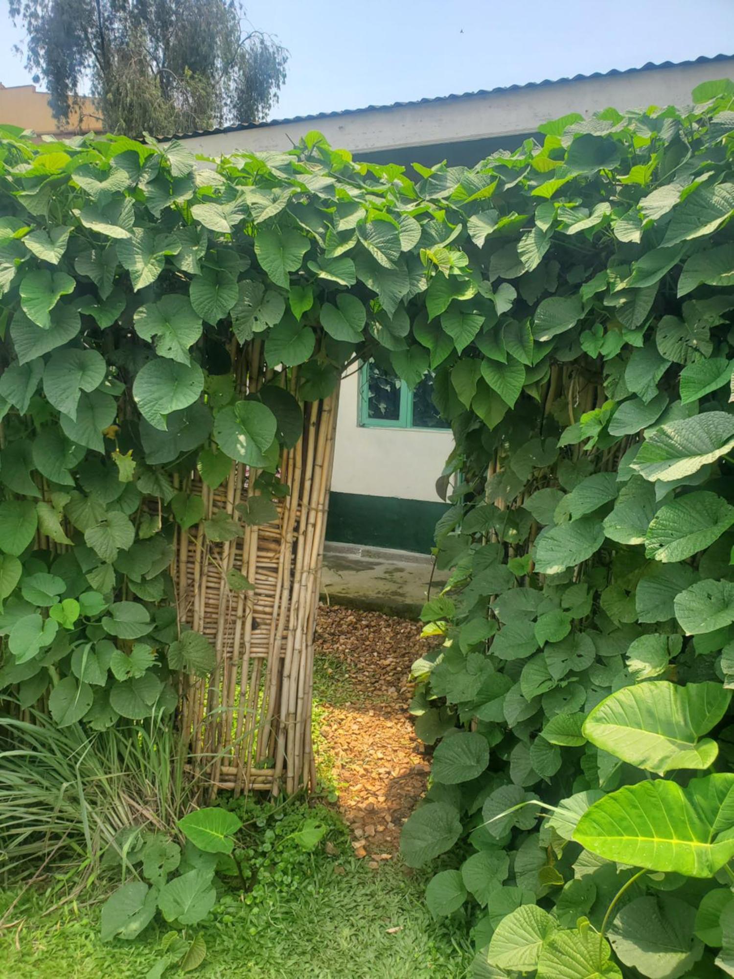 Gaia Eco Hub Bnb Fort Portal Esterno foto