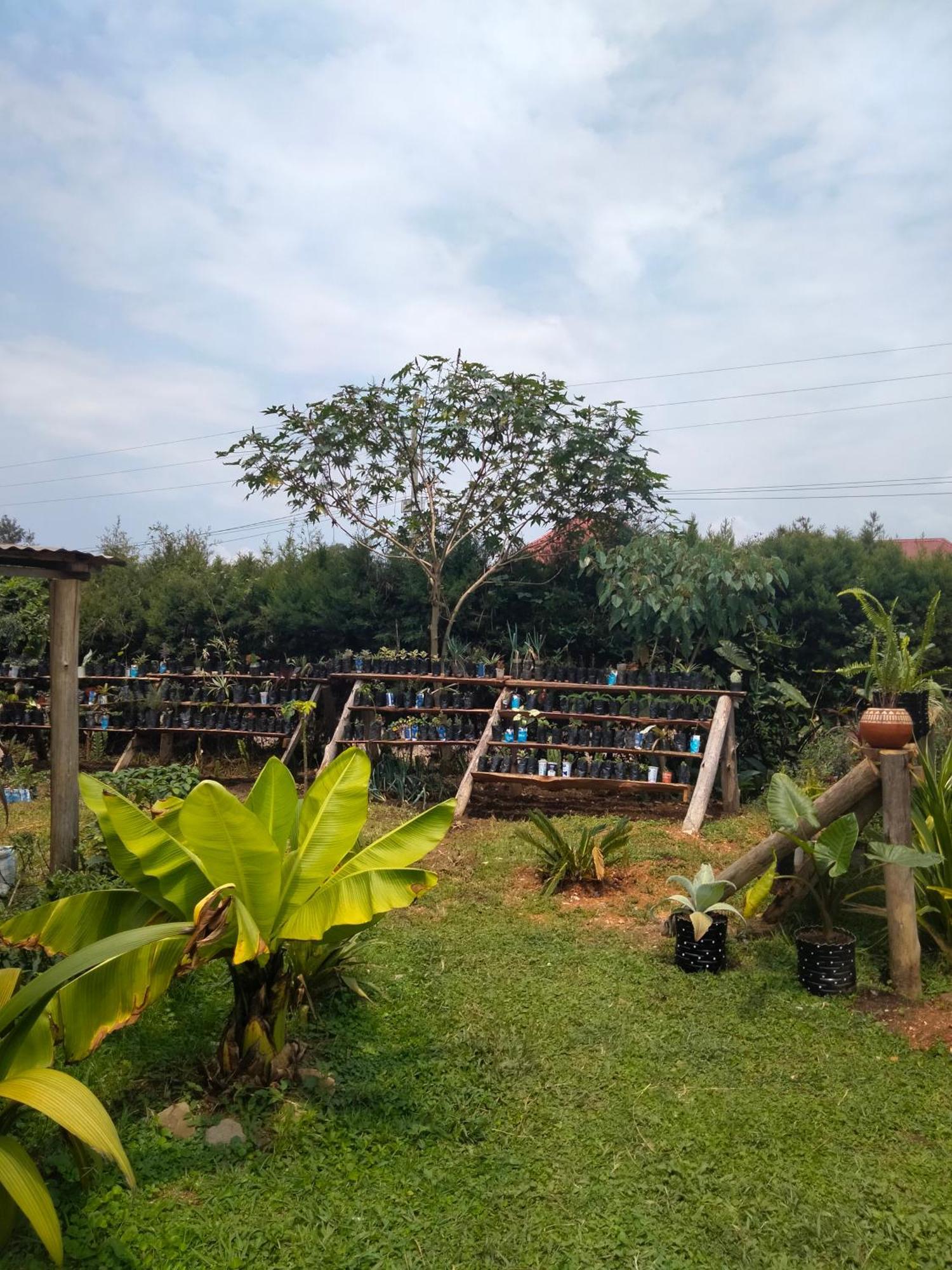 Gaia Eco Hub Bnb Fort Portal Esterno foto