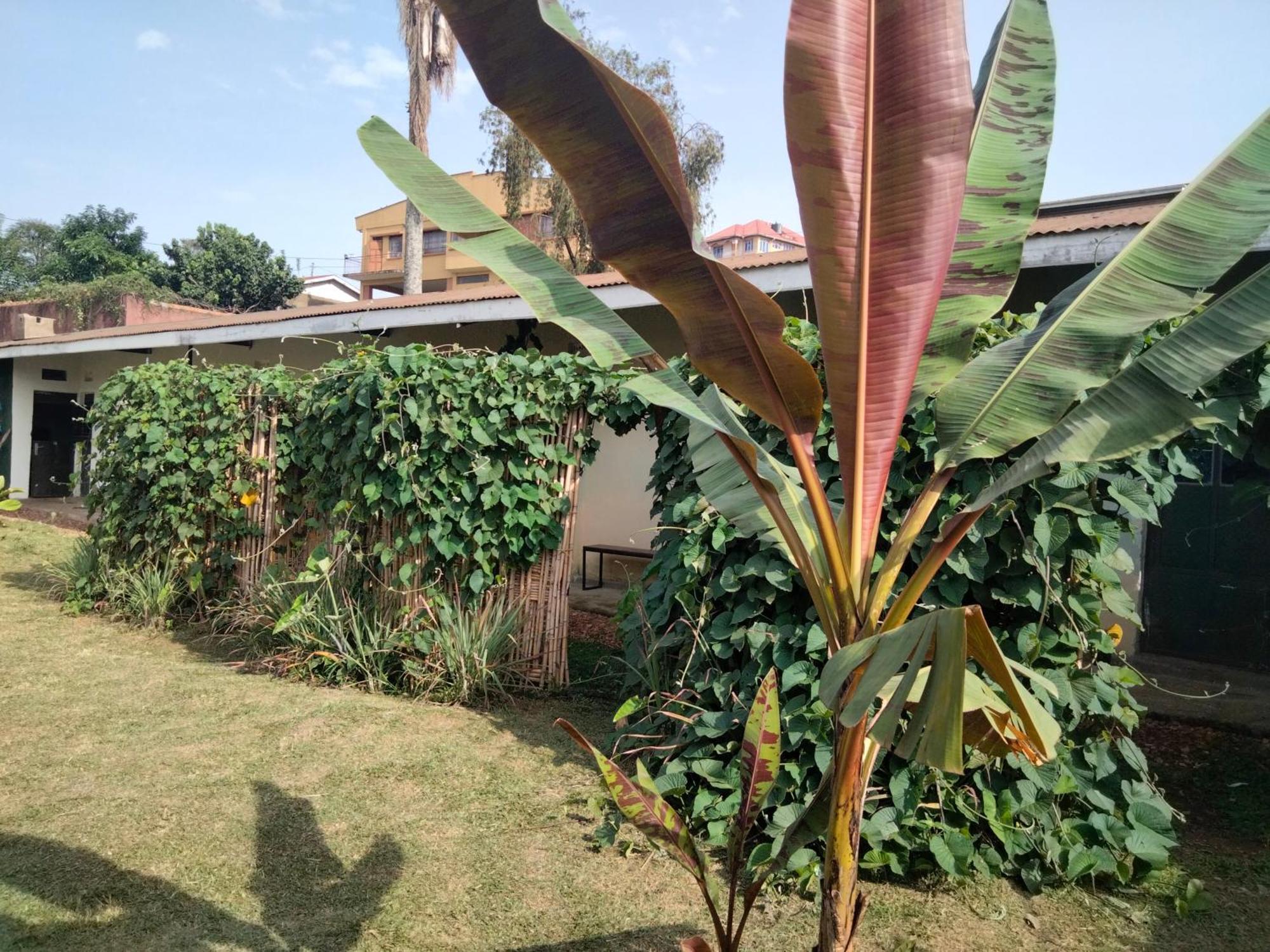Gaia Eco Hub Bnb Fort Portal Esterno foto
