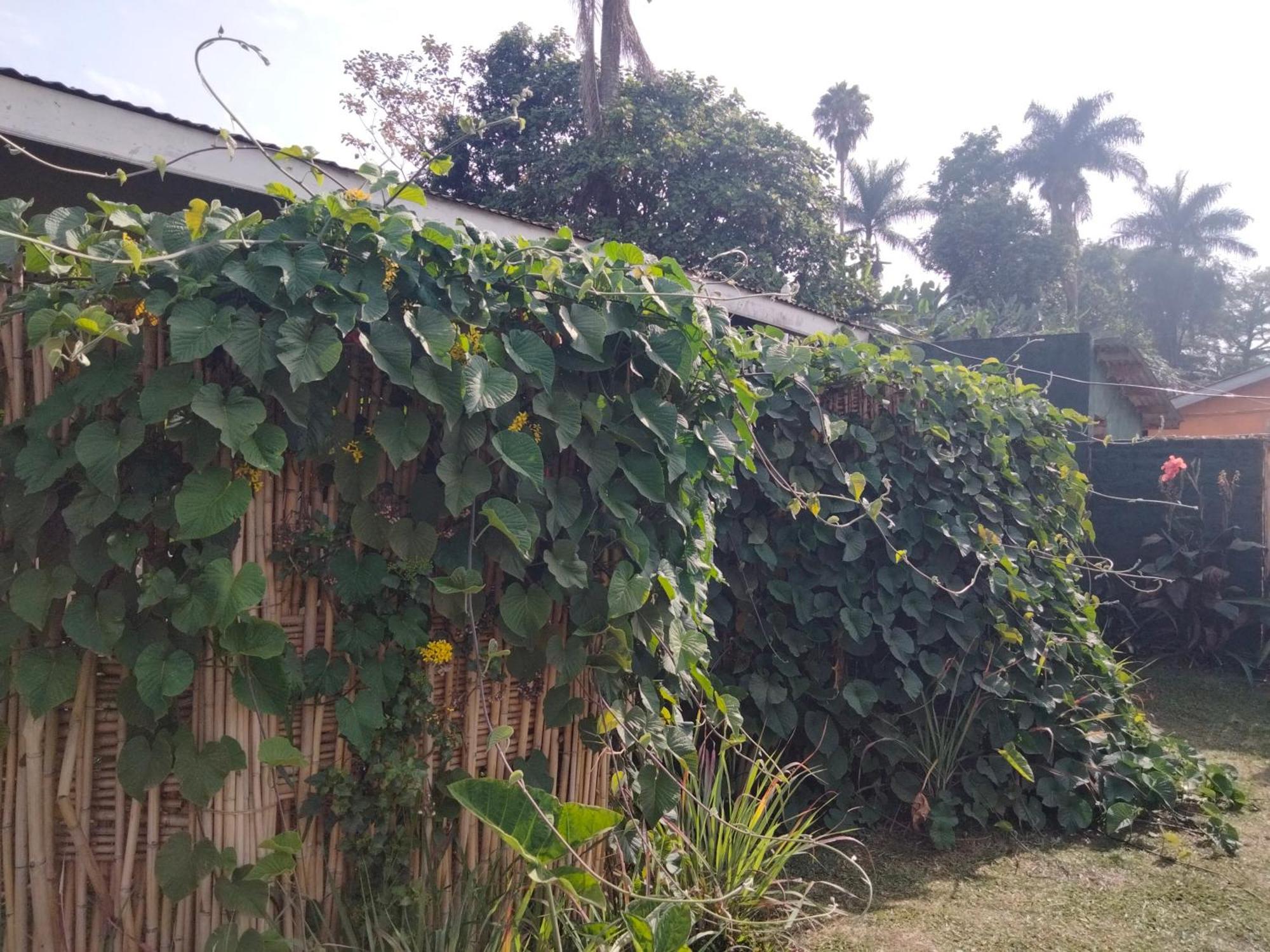 Gaia Eco Hub Bnb Fort Portal Esterno foto