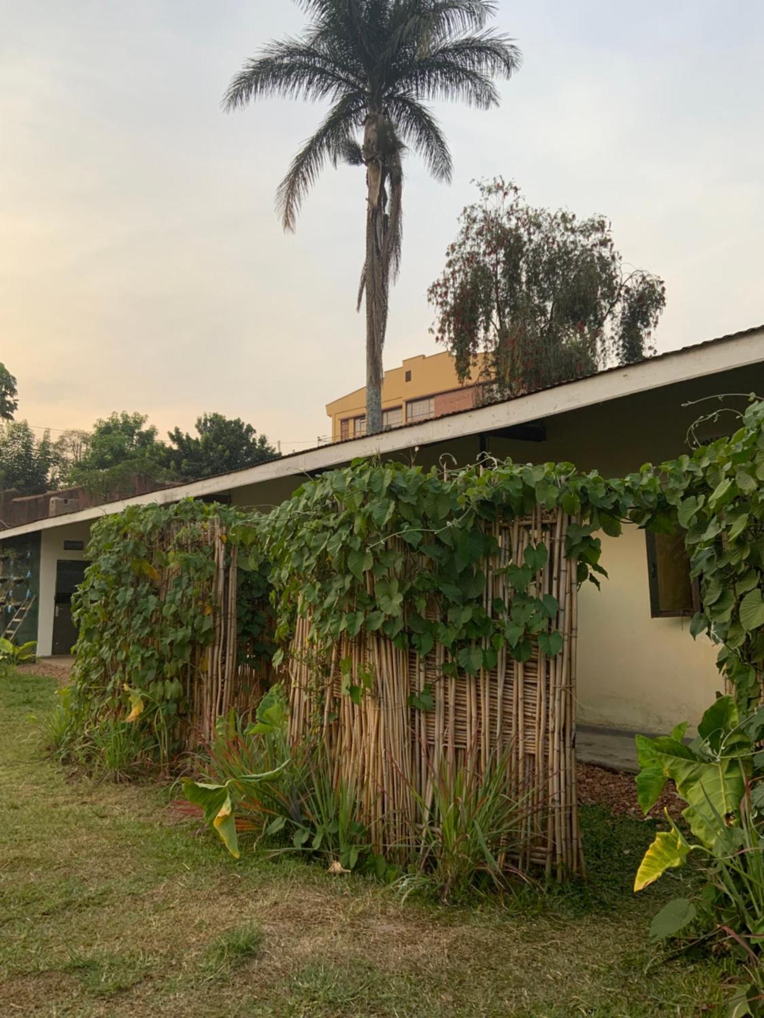 Gaia Eco Hub Bnb Fort Portal Esterno foto